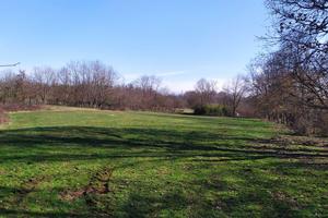 Terreno agricolo pianeggiante