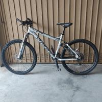 Mountain bike biammortizzata