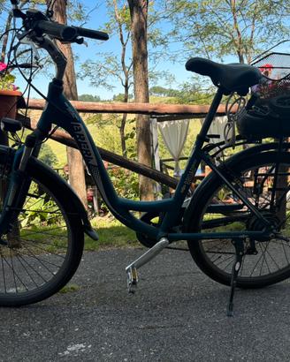 bici a pedalata assistita