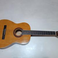 Chitarra Eko CS-10