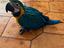 Immagine 3