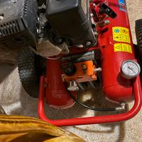 Compressore per olive