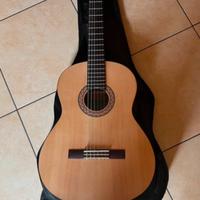 Chitarra c40 M