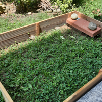 Tartarughe. Ermanni ermanni