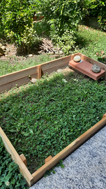 Tartarughe. Ermanni ermanni