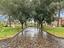 Immagine 11