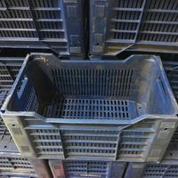 Casse plastica robusta