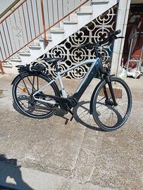 Bicicletta elettrica