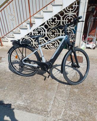 Bicicletta elettrica