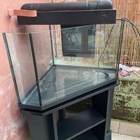 Acquario 120L