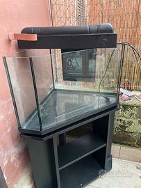 Acquario 120L
