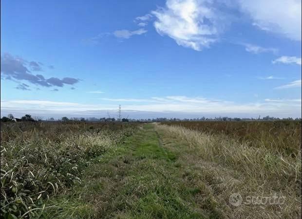 Immobile in asta di 110107 m² a Adria - Altro