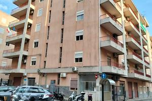 Ampiopentavani viale tica
