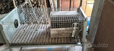 Gabbia zincata per conigli