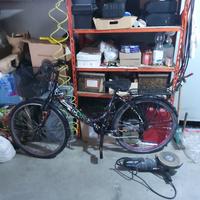 bici da donna