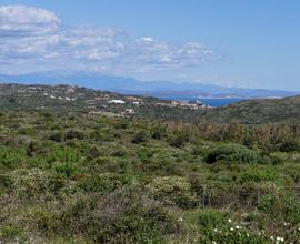 Terreno Agricolo - Santa Teresa Gallura