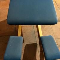 Sedia Varier ergonomica
