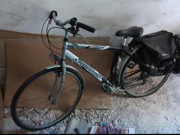 Lotto 3 city bike