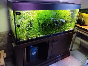 Acquario Juwel 240 litri con mobile in legno 