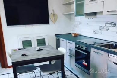 Loft/bilocale bene arredato