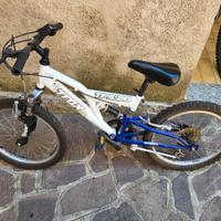 Bicicletta da bambino