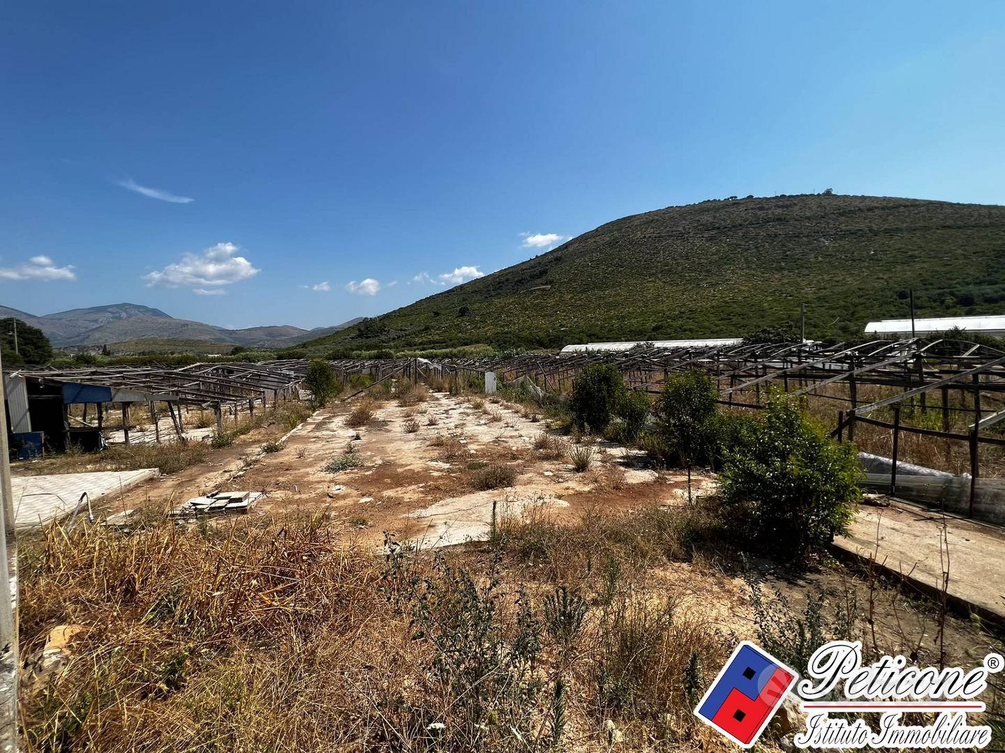Terreno agricolo - Fondi - Vista 5