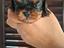 Immagine 4