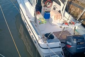 barca bayliner Trophy 20.02