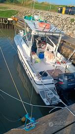 barca bayliner Trophy 20.02