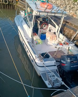barca bayliner Trophy 20.02