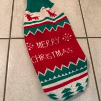 Maglioncino natalizio per cane 🎄🐾