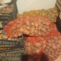 patate