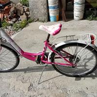 Bicicletta raggio 24