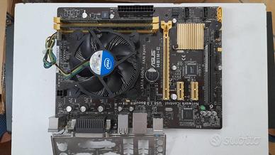 BUNDLE ASUS H81M-C