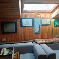 lucernari velux