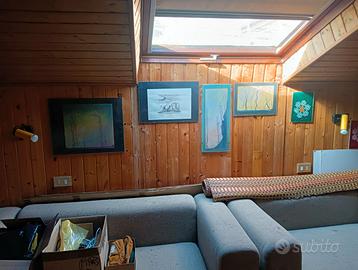 lucernari velux