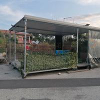 Struttura in ferro zincato misure 6x5 metri