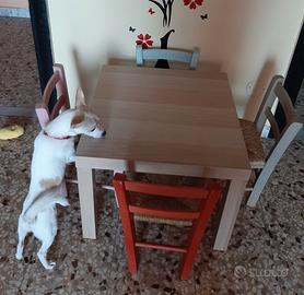 Tavolino con sedioline in legno bambini
