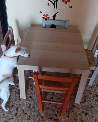 Tavolino con sedioline in legno bambini
