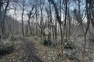 TER. AGRICOLO A LIERNA