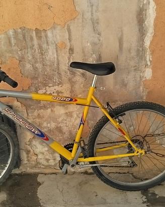 mountain bike 