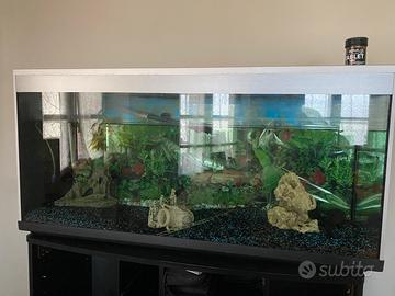 Acquario con pesce e mobile