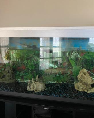 Acquario con pesce e mobile