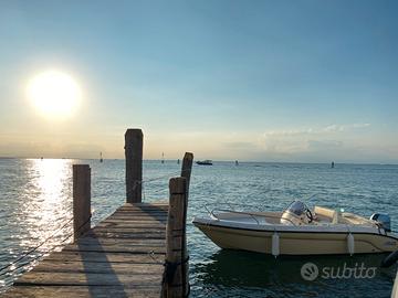 Ranieri Shark 17 Open