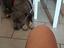 Immagine 2