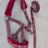 Capezza e lunghina, NUOVA Pony