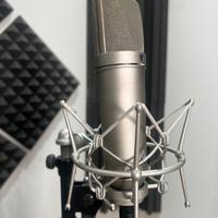Neumann u87 ai + ea87
