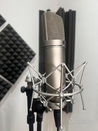 Neumann u87 ai + ea87