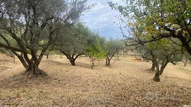 Rif. 1556 Carini, Via Fiume Falco, Terreno, mq 450