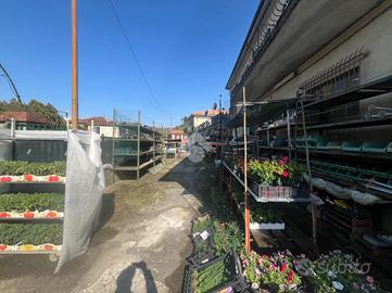 ATTIVITÀ A VEZZANO LIGURE